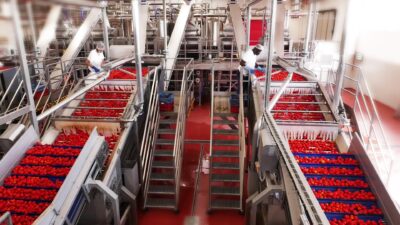 Washing & Sorting Tables