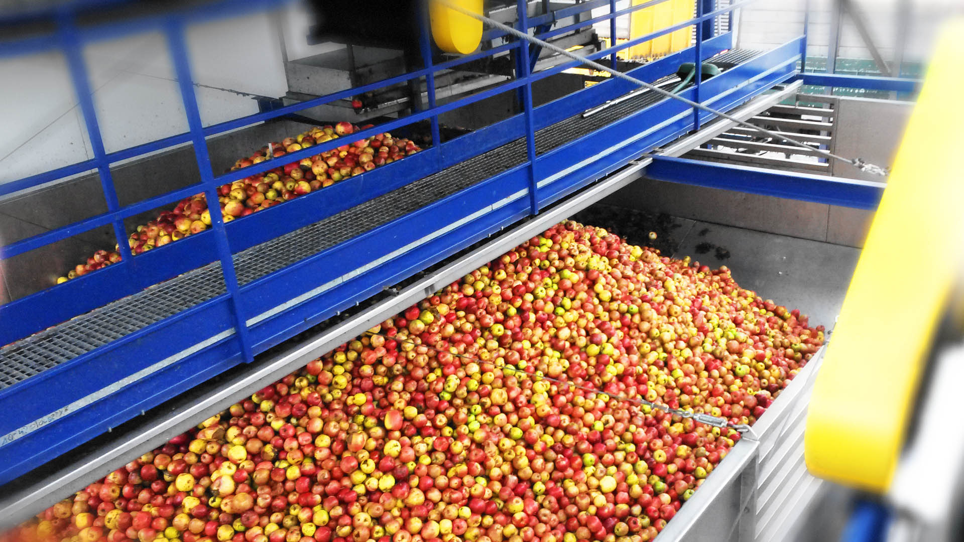 Fruit Processing - CFT Group