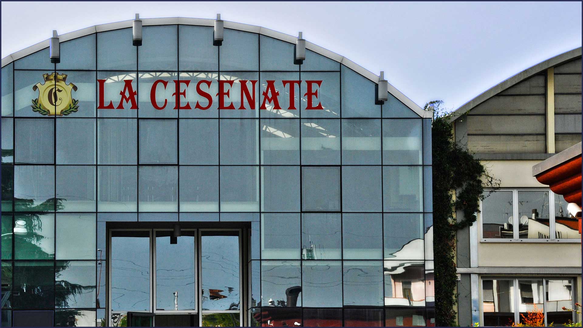 Plant-based drinks production line