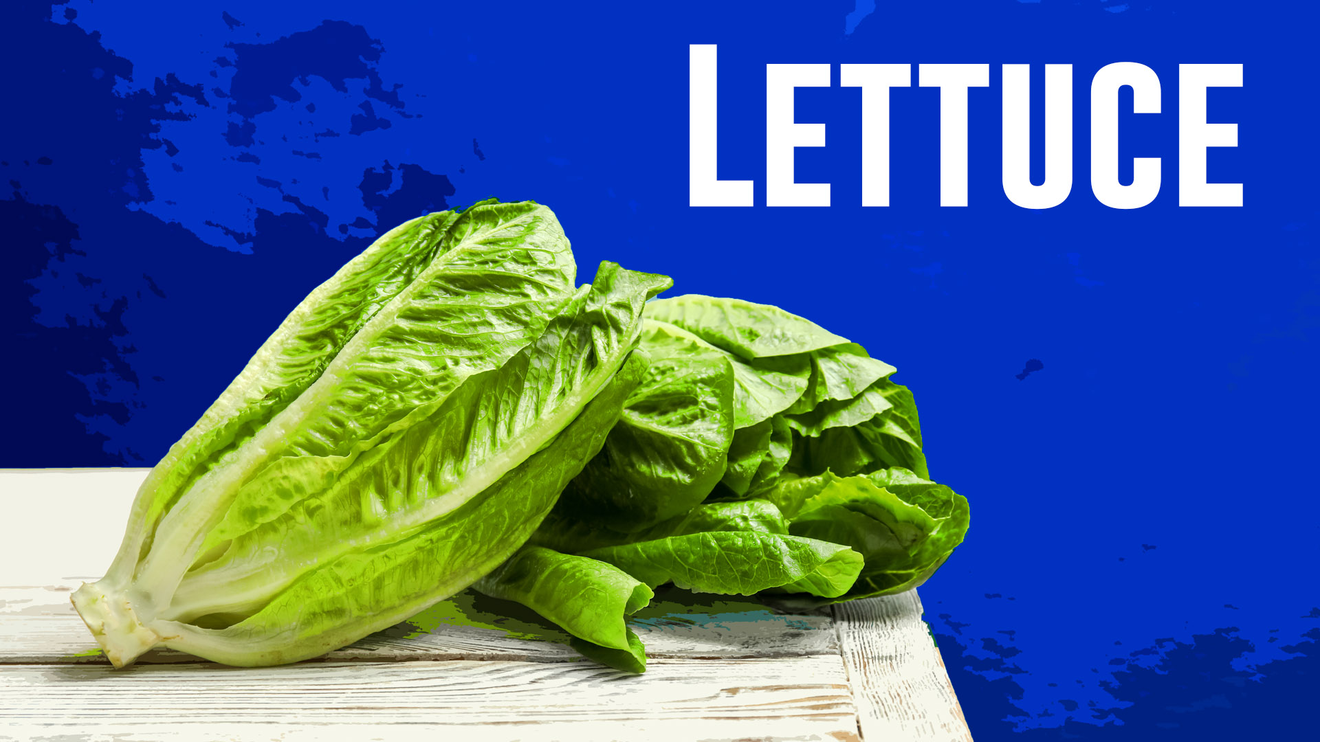 Adult and baby leaf salads processing