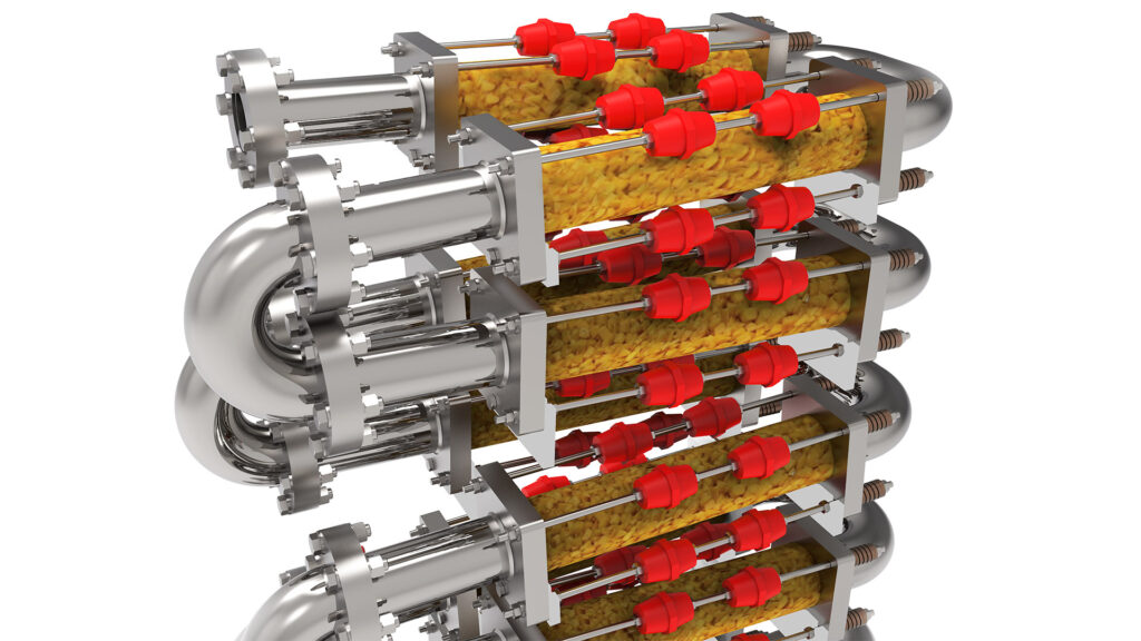 Ohmic technologies for peach processing - diced peaches.