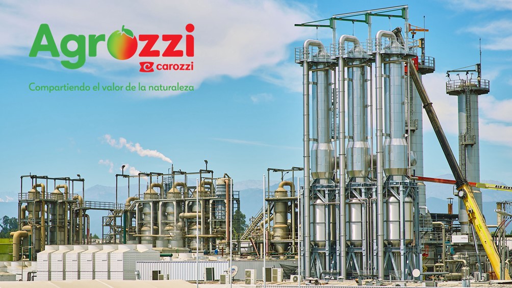 CFT evaporators at Agrozzi
