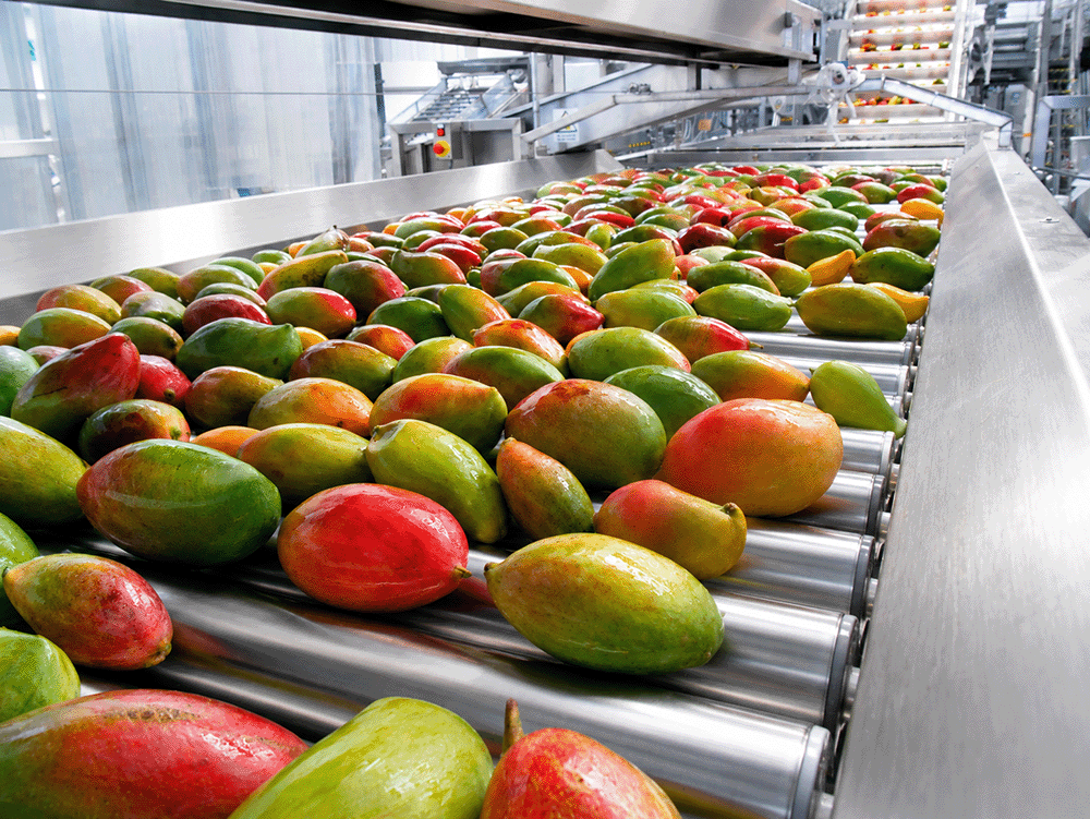 2. Fruit Preparation