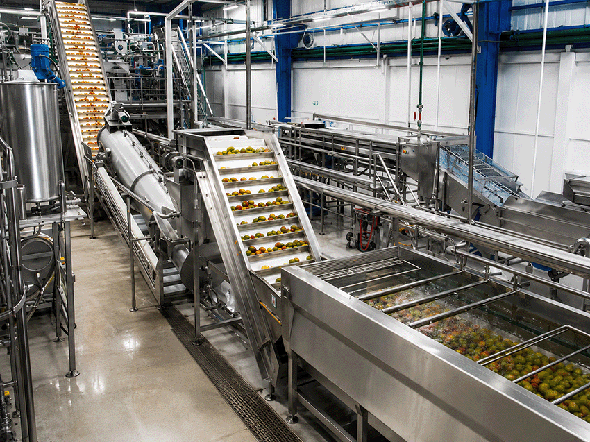 Fruit processing plant
