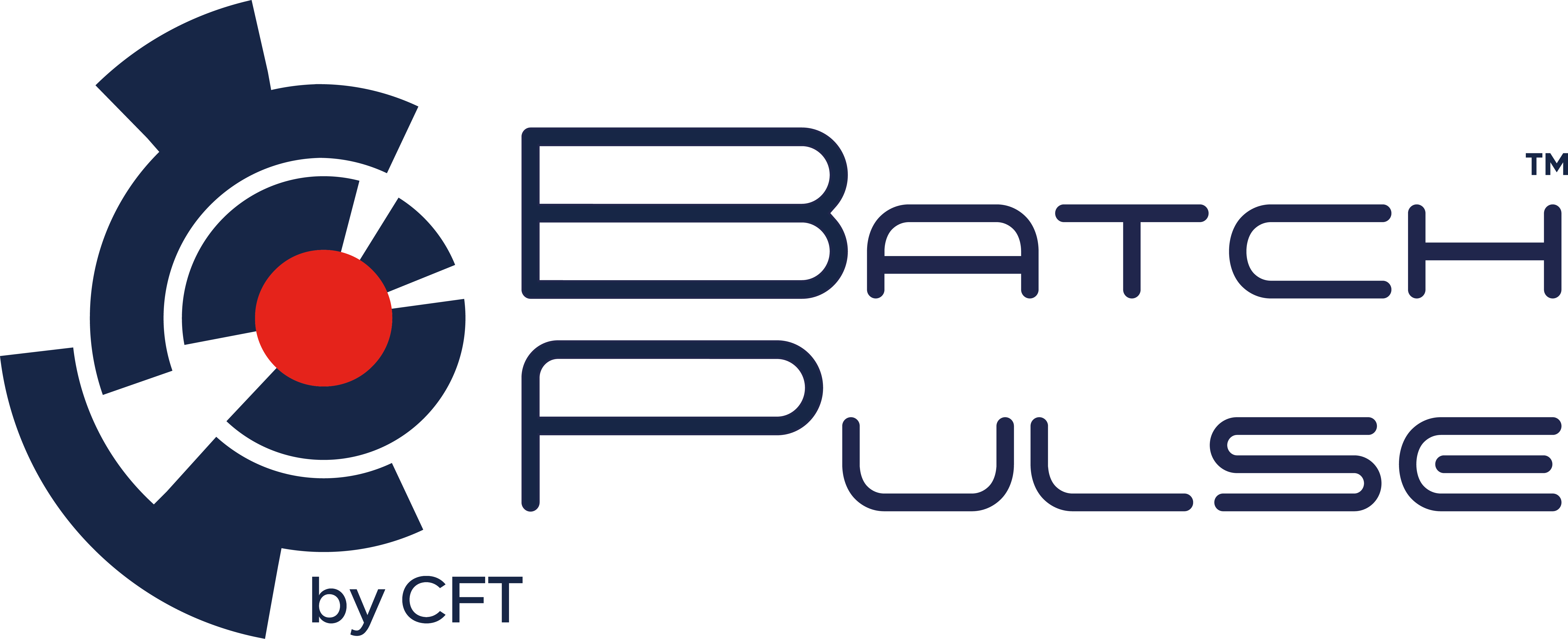 Batch Pulse logo
